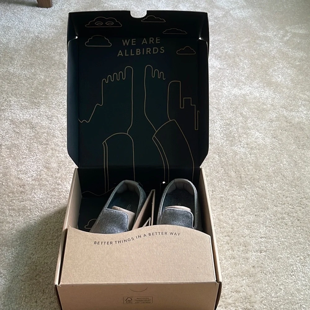 Allbirds wool lounger - Picture 1 of 13